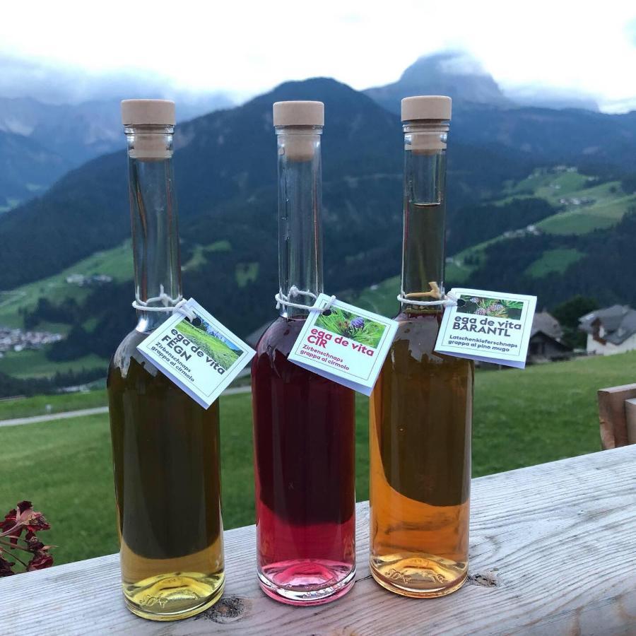 Alpinus Agriturism Apartment Сан Мартино ин Бадия Екстериор снимка