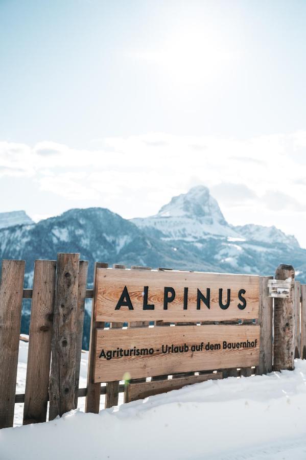 Alpinus Agriturism Apartment Сан Мартино ин Бадия Екстериор снимка
