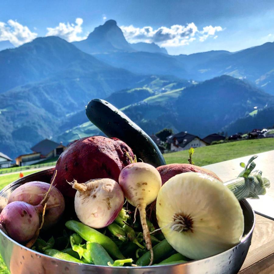 Alpinus Agriturism Apartment Сан Мартино ин Бадия Екстериор снимка