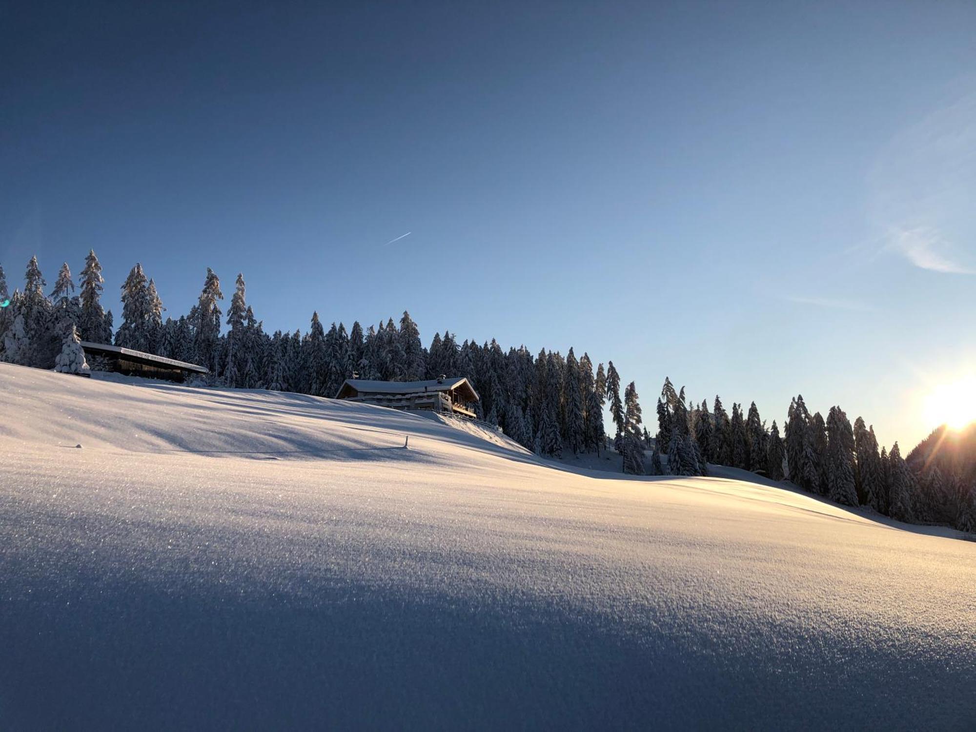 Alpinus Agriturism Apartment Сан Мартино ин Бадия Екстериор снимка