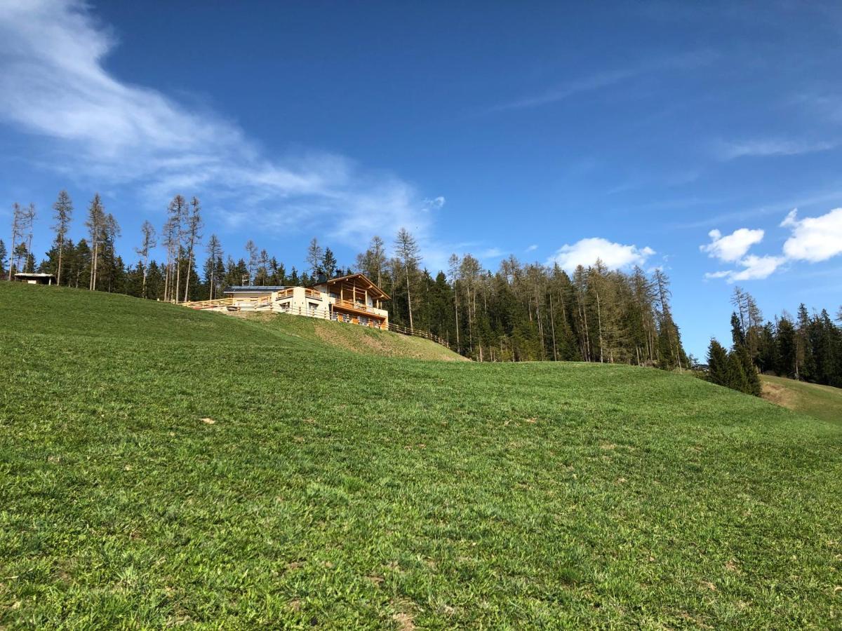 Alpinus Agriturism Apartment Сан Мартино ин Бадия Екстериор снимка